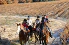 Les Cavaliers de la Louvière