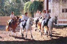 Centre équestre Le Ménèque